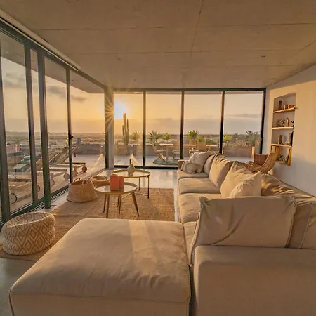 Willa Salty By Aura Collection